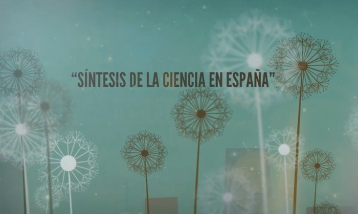 infograficos y motion graphics bilbao